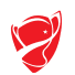 كأس تركيا